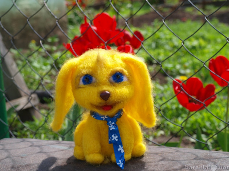 Продам: Солнечный щенок