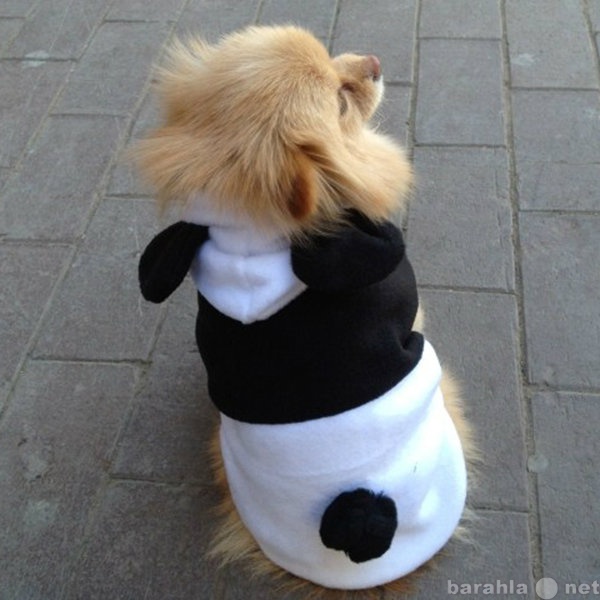 Продам: Одежда для собак. Флисовый костюм -панда