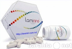 Продам: Ламинин (Laminine,)