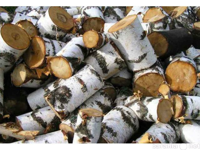 Продам: Березовые дрова в чурках Новосибирск