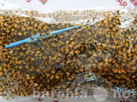 Продам: Резинки для плетения Тигр