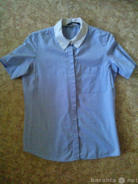Продам: Блуза с короткими рукавами