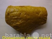 Продам: Живица кедровая Алтая