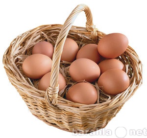 Продам: Поставляем куриные яйца от 37руб/десяток
