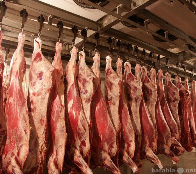 Продам: Мясо оптом по пол тушам и в разделке