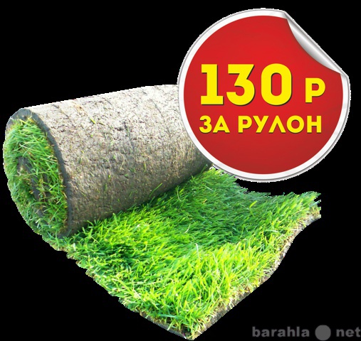 Продам: Рулонный газон в Краснодаре производство