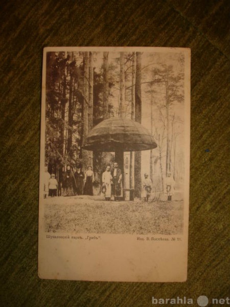 Продам: старинная открытка 1904 года