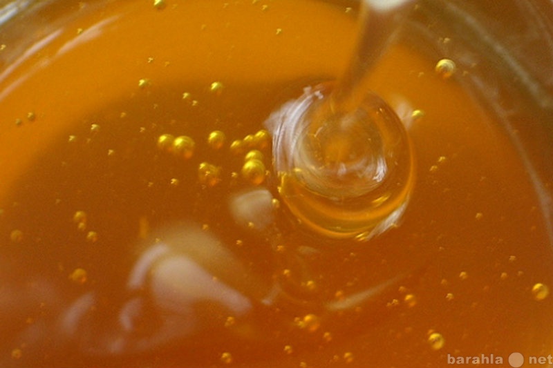 Продам: Свежий мед и др. пчелопродукты с пасеки