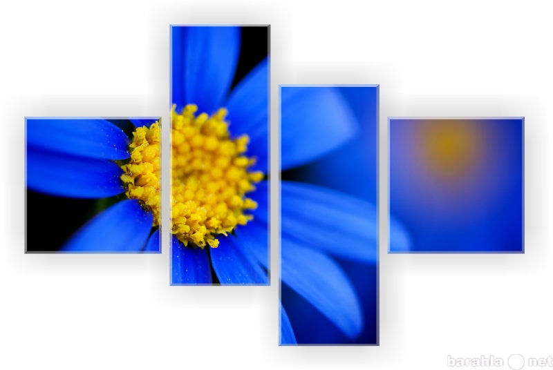 Продам: Модульная картина: "Синий цветок&