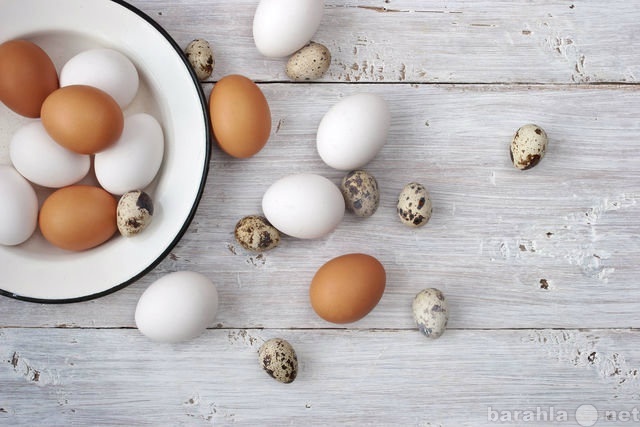 Продам: Домашние куриные и перепелиные яйца