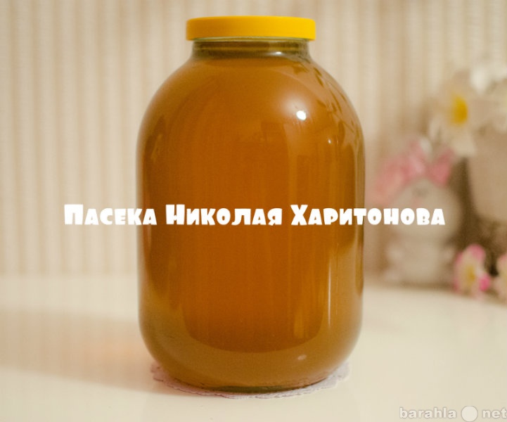 Продам: Мёд натуральный 2015 г. разнотравье - 3л