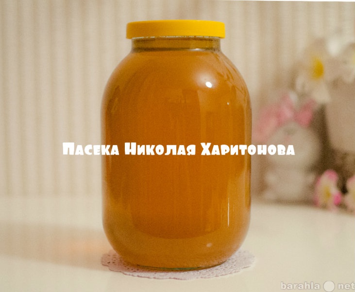 Продам: Мёд натуральный 2015 г. разнотравье - 2л