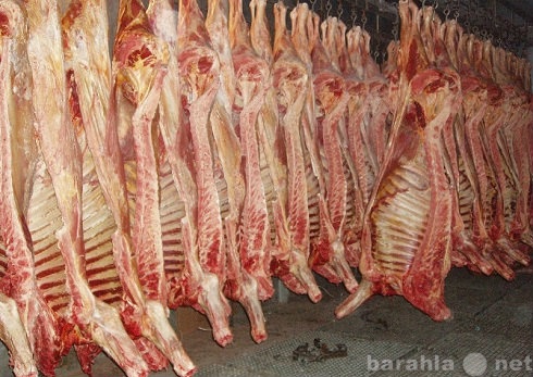 Продам: Говядина,свинина оптом от 160 ркг