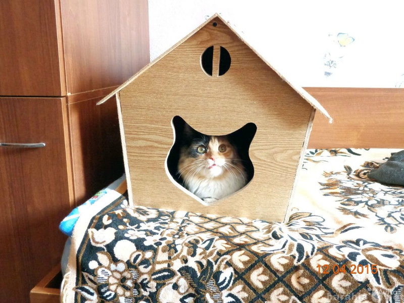 Продам: Дом для кошек