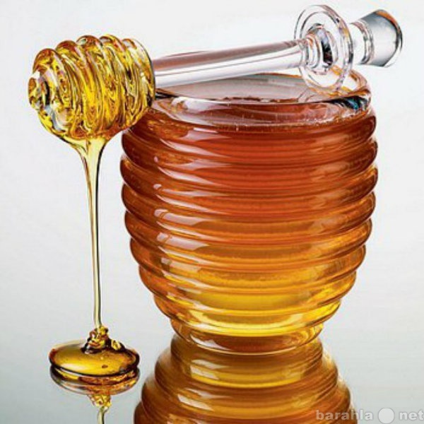 Продам: Алтайский мёд