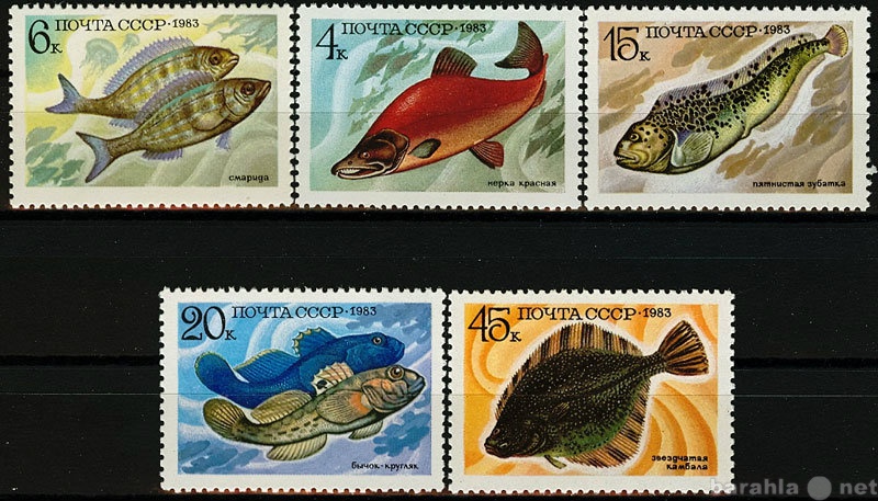 Продам: Промысловые рыбы 1983 СССР