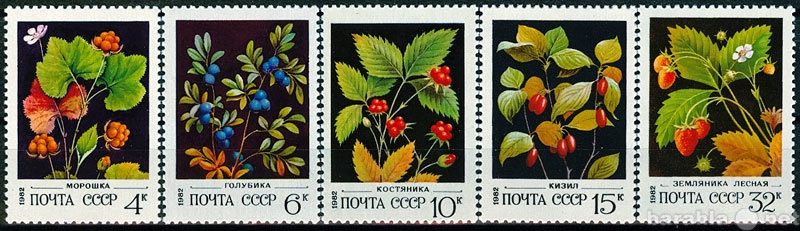 Продам: Марки Дикорастущие ягоды 1982 СССР