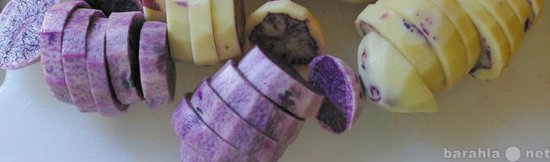 Продам: Картофель Фиолетовый (Purple Congo)