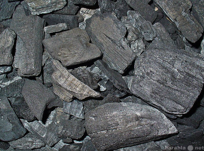 Продам: уголь древесный