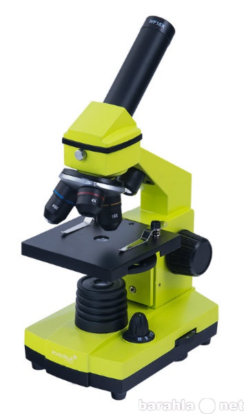 Продам: Микроскоп Levenhuk 3L NG, монокулярный.