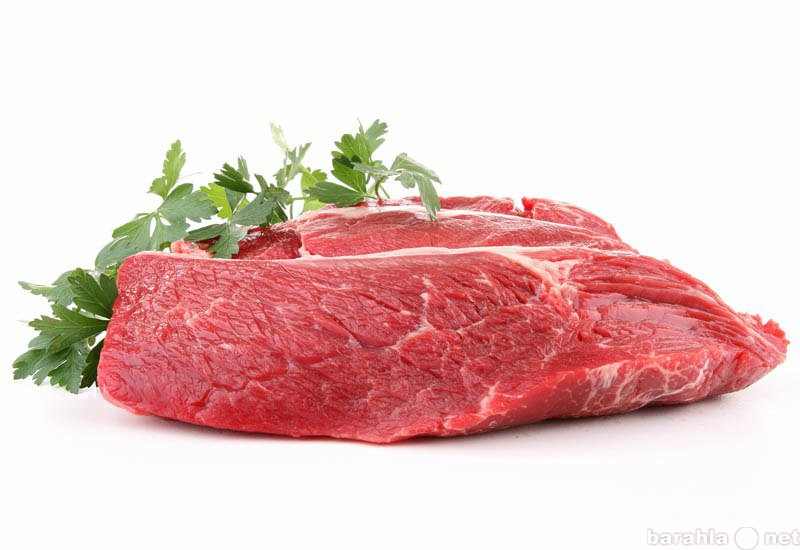 Продам: Мясо. Говядина