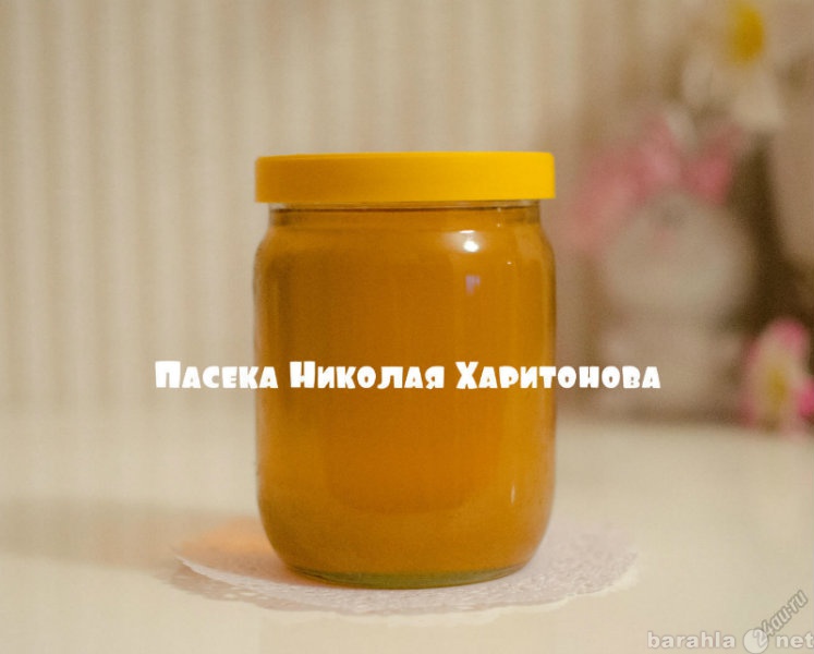 Продам: Мёд натуральный 2015 г. разнотравье-0,5л