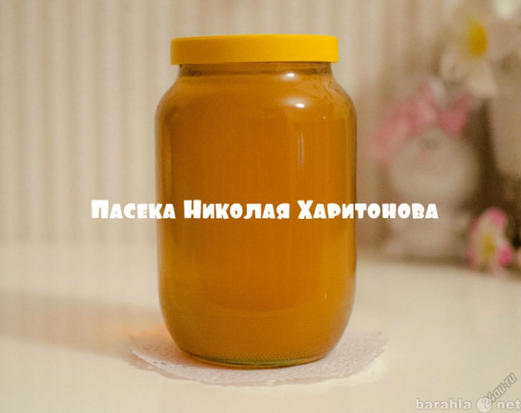 Продам: Мёд натуральный 2015 г. разнотравье - 1л