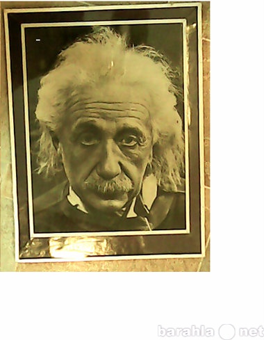 Продам: Портрет Эйнштейна