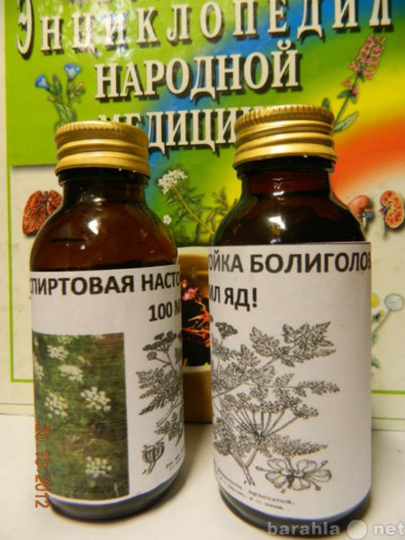 Продам: Лечение рака настойкой болиголова