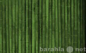 Продам: Стволы бамбука