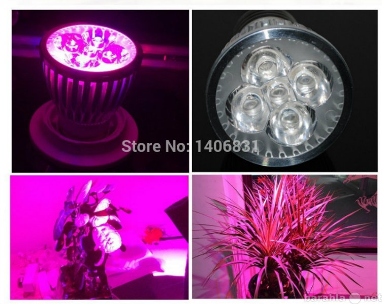 Продам: Лампа для растений светодиодная LED Крас