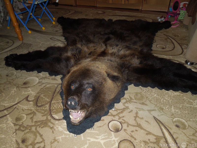 Продам: Продам ковёр из шкуры медведя.