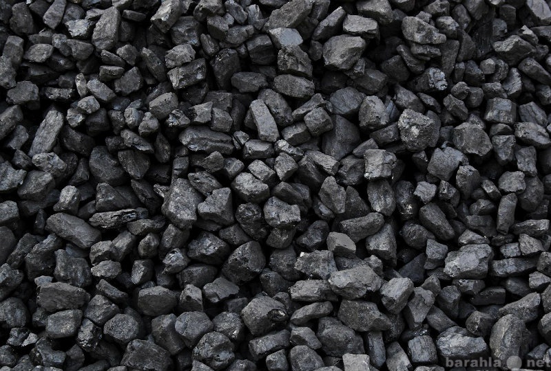 Продам: Уголь