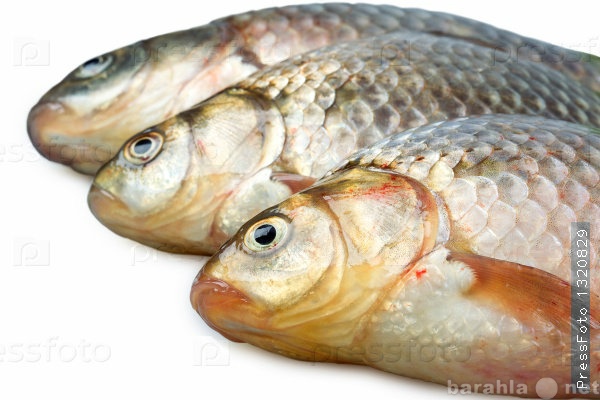 Продам: Речная рыба