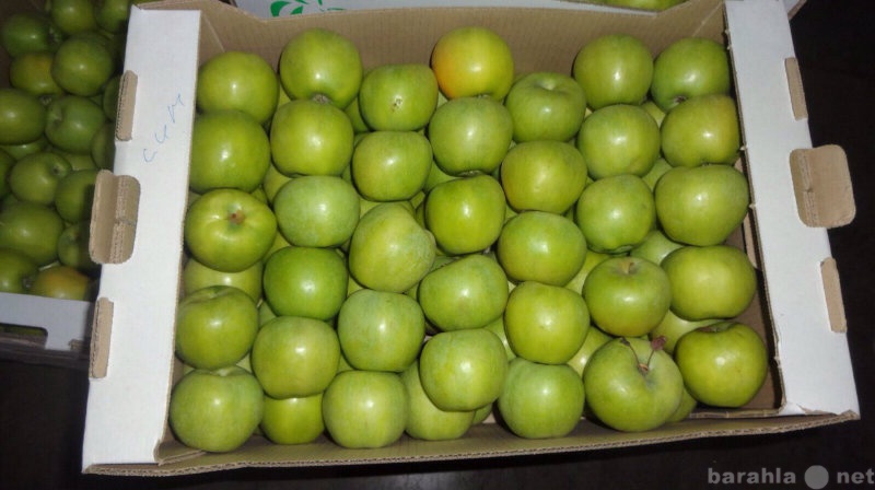 Продам: Яблоки оптом Краснодарские