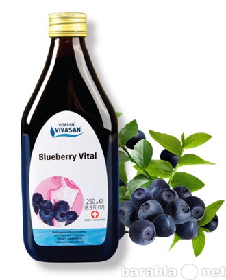 Продам: Черника витал (Blueberry Vital)