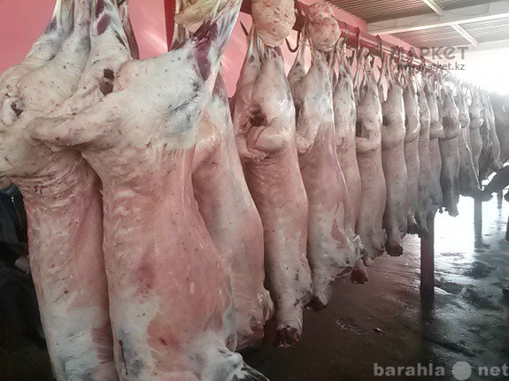 Продам: Парное мясо - баранина оптом и розница