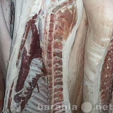Продам: Мясо свинины в полутушах