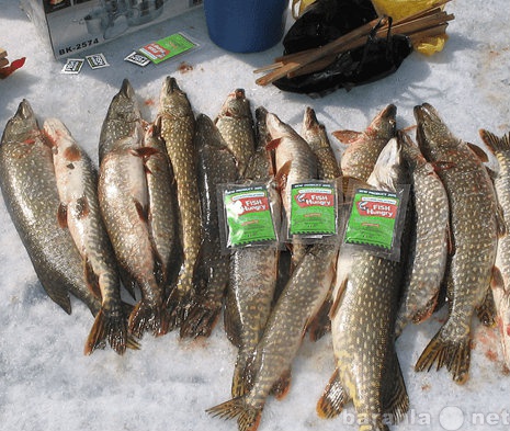 Продам: FishHungry - зимняя рыбалка