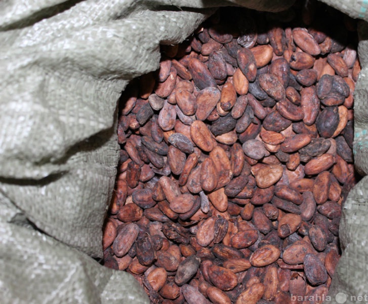 Продам: какао-бобы природные натуральные