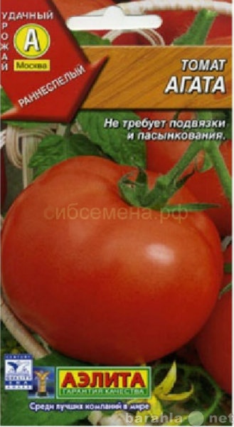 Продам: Продам семена томатов для теплицы