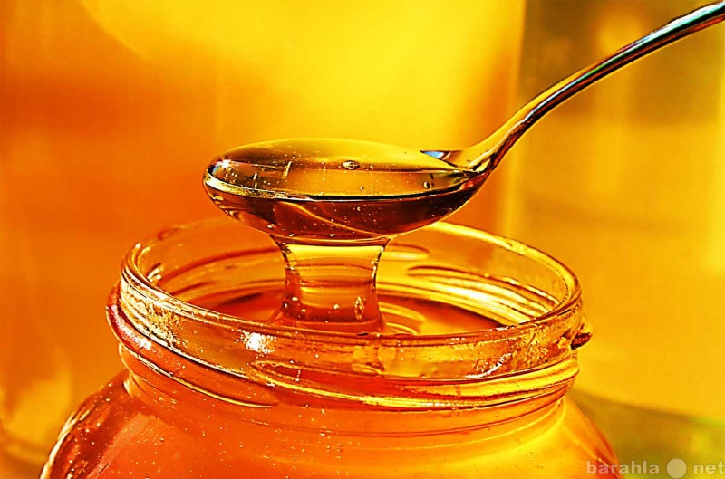 Продам: Башкирский мёд с домашней пасеки