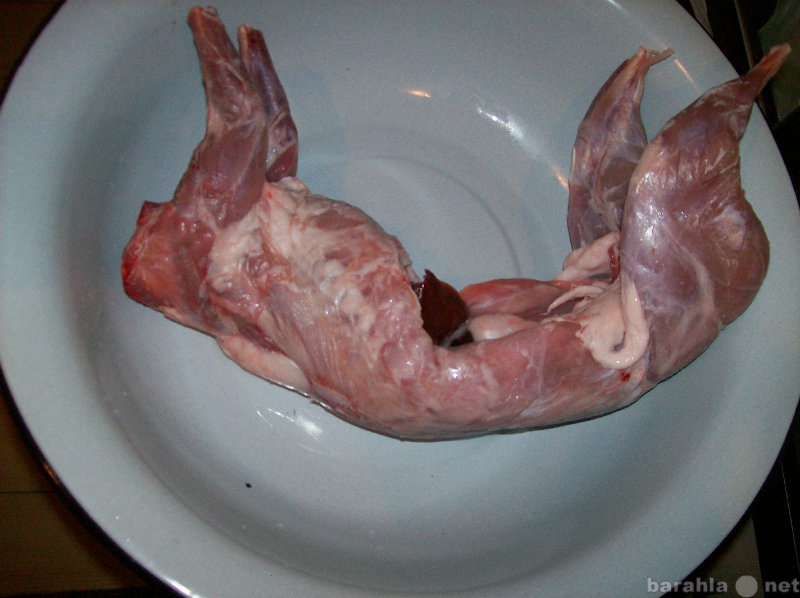 Куплю: Мясо кролика