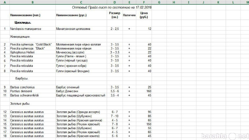 Продам: Оптом рыба, тритоны, черепахи...