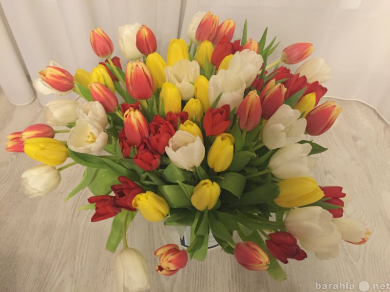 Продам: Цветы тюльпаны на 8 марта