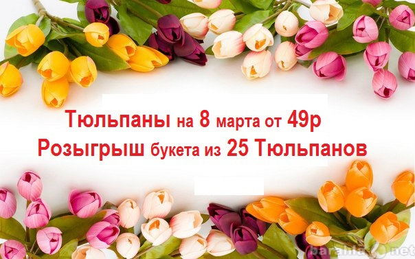 Продам: тюльпаны на 8 марта от 49р с доставкой