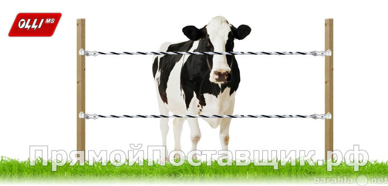Продам: Комплект OLLI для КРС 500 метров, коров
