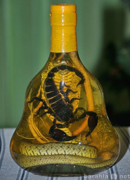 Продам: Кобра и скорпион в бутылке