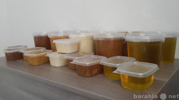 Продам: Натуральный мёд Алтая, Кубани, Воронежа