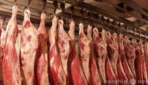 Продам: Мясо-говядина(халяль),оптом и в розницу